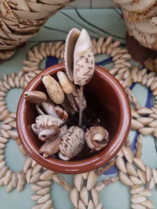 Dragón de caracolas y detalles marinos