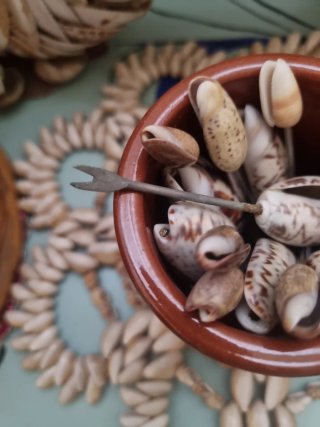 Dragón de caracolas y detalles marinos