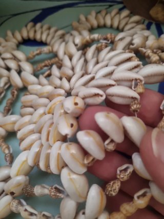 Dragón de caracolas y detalles marinos