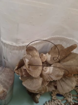 Dragón de caracolas y detalles marinos