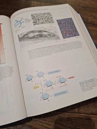 Biología molecular de la célula