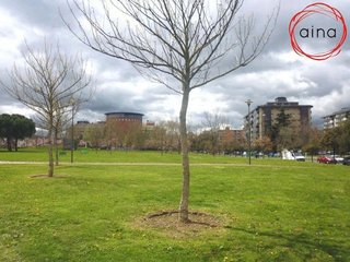 Piso en alquiler en Ermitagaña - Mendebaldea en Pamplona