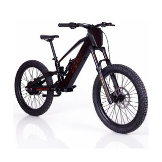 Bicicleta Eléctrica RFN EVO 1000W 48V