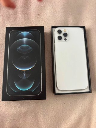iPhone 12 Pro Plata 256 GB