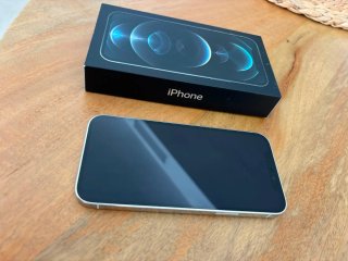 iPhone 12 Pro Plata 256 GB