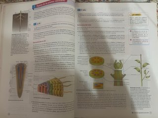 Biología y Geología, 1 Bachillerato