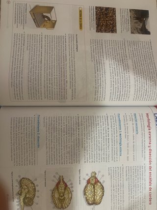 Biología y Geología, 1 Bachillerato