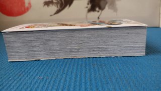 Manga One piece 10 (3 en 1)