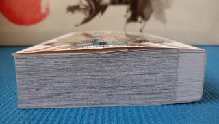 Manga One piece 10 (3 en 1)