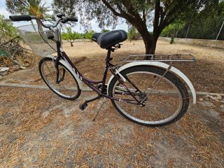 Bicicleta de paseo con cesta