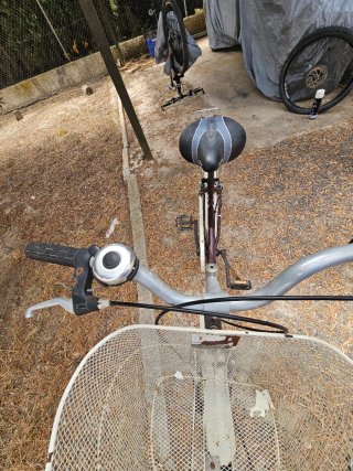 Bicicleta de paseo con cesta