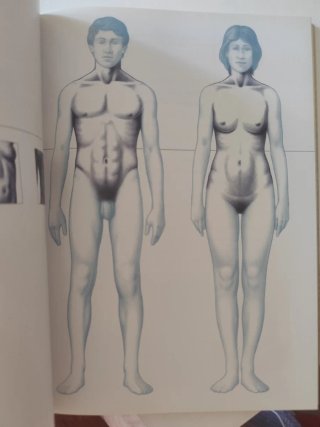 Anatomía para el artista