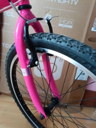 Bicicleta Rosa Ciudad Mujer