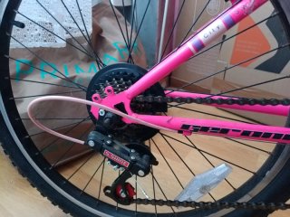 Bicicleta Rosa Ciudad Mujer