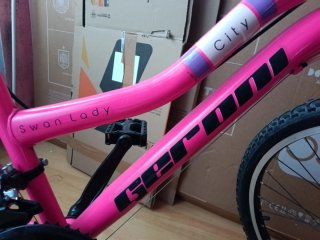Bicicleta Rosa Ciudad Mujer