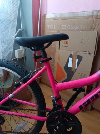Bicicleta Rosa Ciudad Mujer