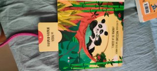Animals de la selva