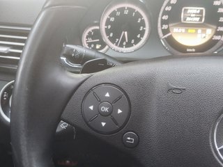 MERCEDES-BENZ Clase E E 250 CDI 4M BE Avantgarde E