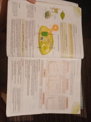 Biologa y Geologa 1. Bachillerato - Andaluca. NOVA