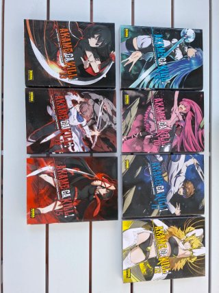 Akame ga kill! 1