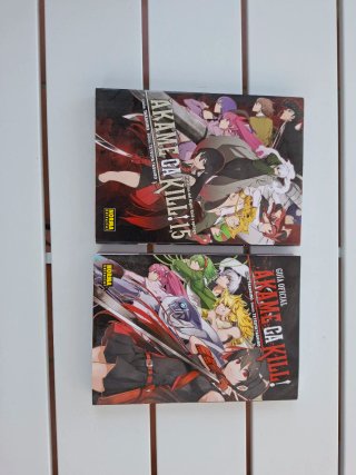 Akame ga kill! 1