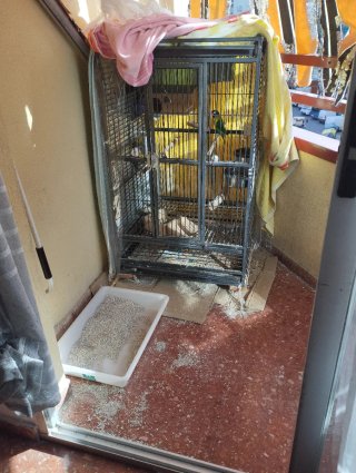 Jaula grande 90cm para yacos