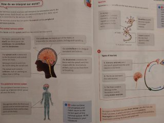 Science, 5 Primary, Outside the Box, ByME.