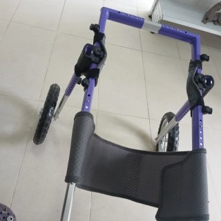 Silla de ruedas para perro talla XL