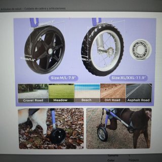 Silla de ruedas para perro talla XL