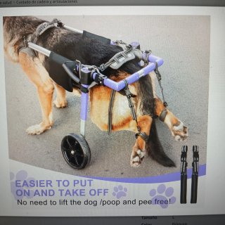 Silla de ruedas para perro talla XL