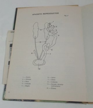 Libro Los Pájaros.