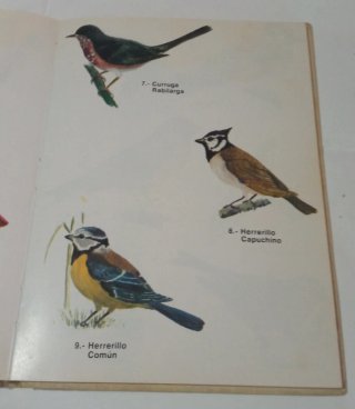 Libro Los Pájaros.