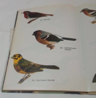 Libro Los Pájaros.