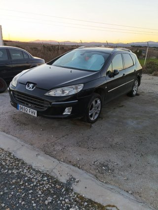 Peugeot 407 2006
