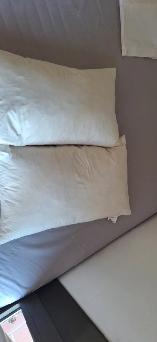 2 Almohadas Pluma Ikea Blancas