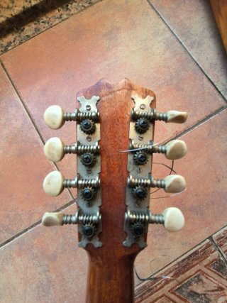 Bandurria o Mandolina PRUDENCIO SAEZ