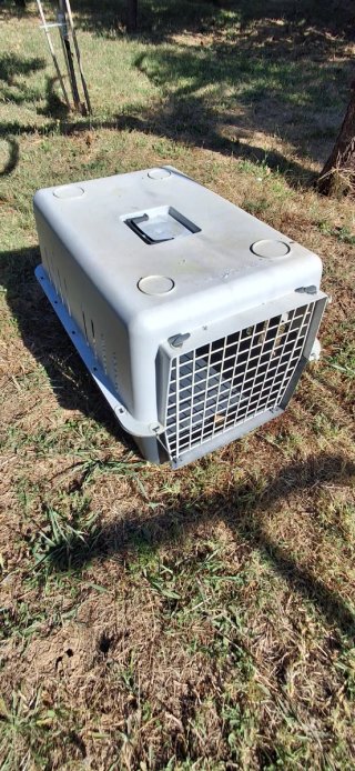Transportín para gatos o perros pequeños gris