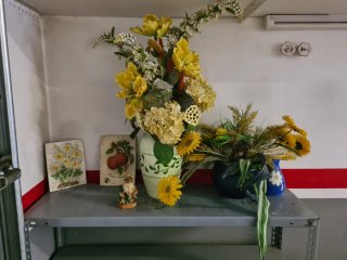 Varios decoracion
