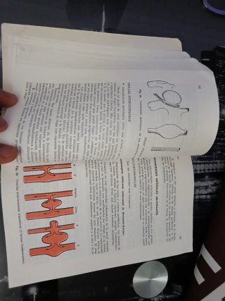 Libro Cirugía - M. Reifferscheid (Salvat)