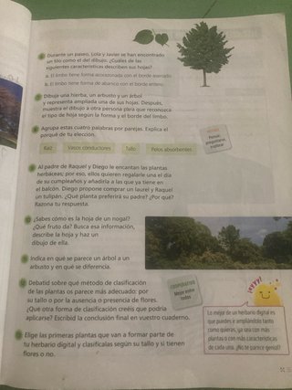 Ciencias de la Naturaleza 4, Segundo Ciclo Prim...