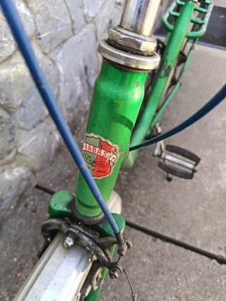 Bicicleta vintage Paseo Rabasa