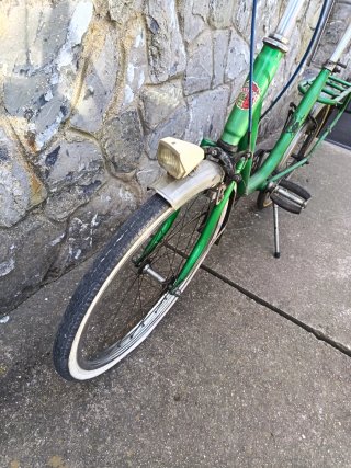 Bicicleta vintage Paseo Rabasa