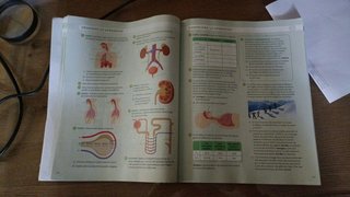 BIOLOGIA Y GEOLOGIA C-LEON 3 ESO CONSTRUYENDO M...