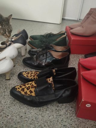 Lote de zapatos variados
