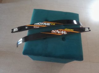 Palas Arco WNS Motive 68-32