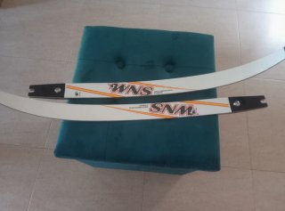 Palas Arco WNS Motive 68-32