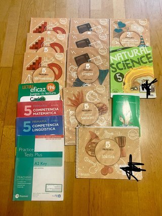 Libros de texto 5 de primaria GSD