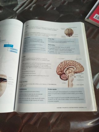 Biología y Geología 3, Secundaria, Fanfest Edel...