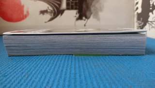 Manga Berserk Maximum 10