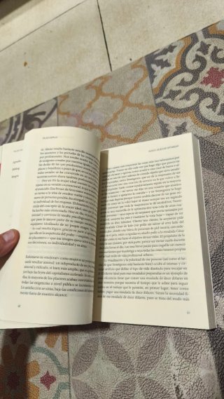 Falso espejo reflexiones sobre el autoengaño